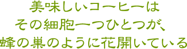 美味しいコーヒーはその細胞一つひとつが、蜂の巣のように花開いている 低温蜂の巣焙煎の珈琲豆